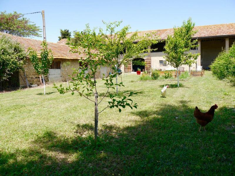 Ferme St Pierre 2 Suites Avec Repas, Piscine, Clim, Cheminee Ou Baignoire Spa Chabeuil Exteriör bild